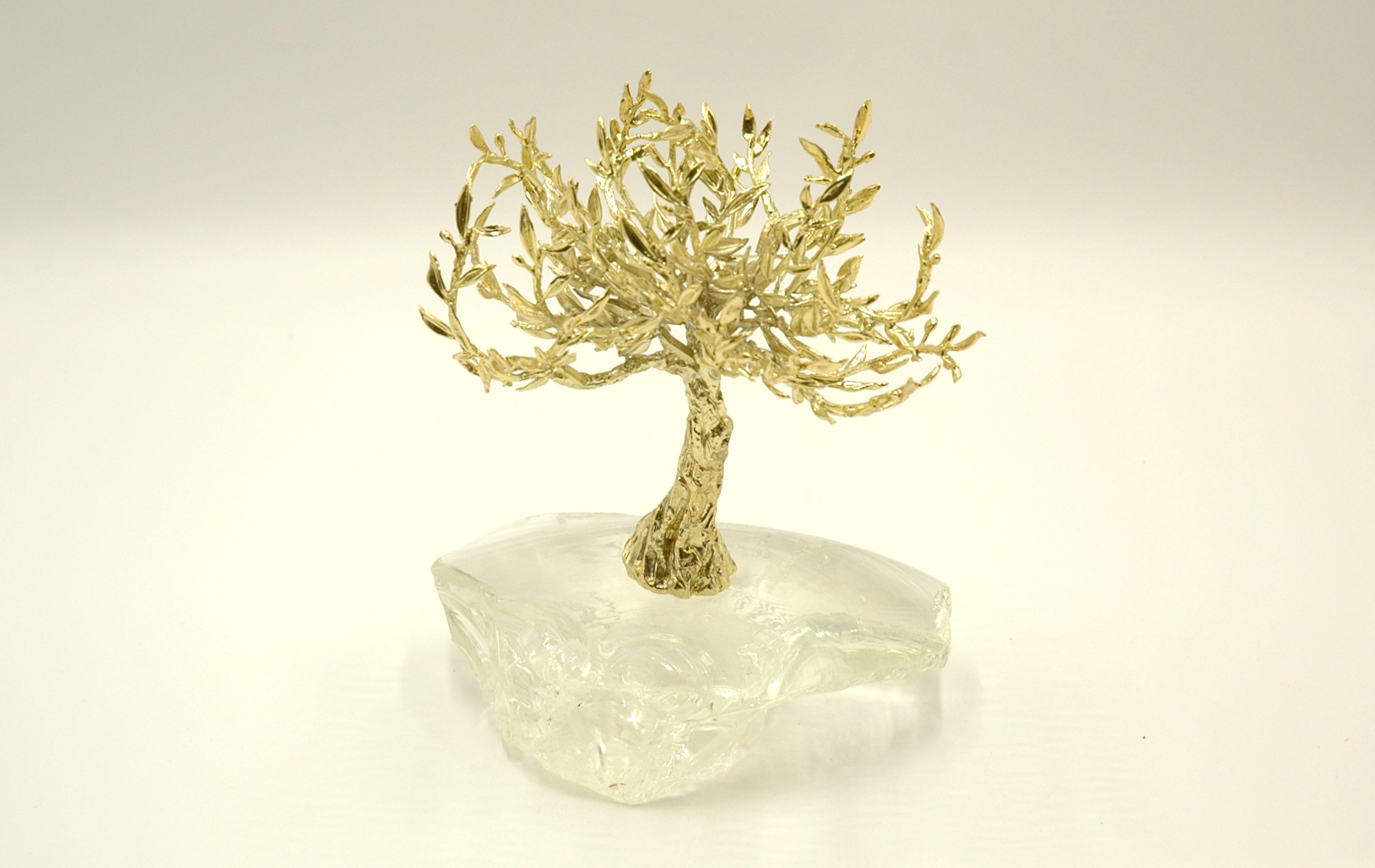 Tree of life - Olive tree